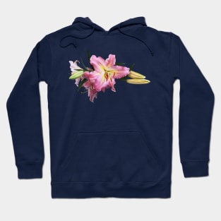 Lovely Pink Lilies Hoodie